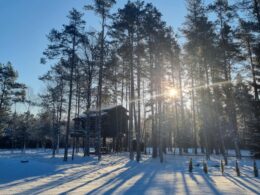 Treehouseestonia talvine