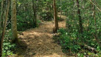 Treehouse matkarada {{brizy_dc_image_alt imageSrc=