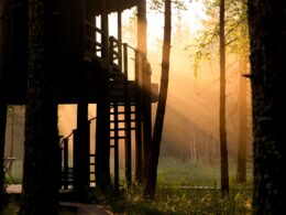 {{brizy_dc_image_alt imageSrc=